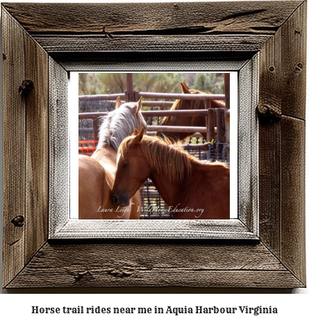 horse trail rides near me in Aquia Harbour, Virginia